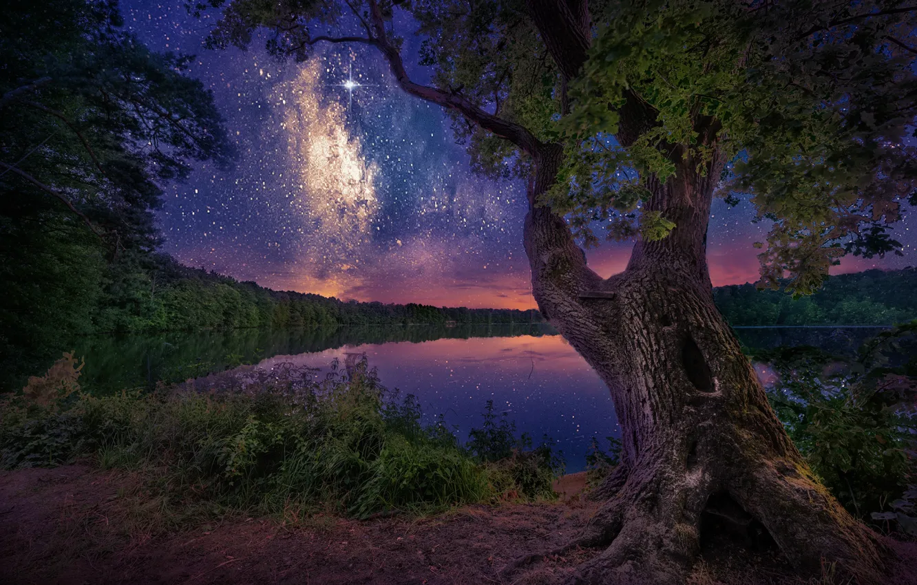 Photo wallpaper the sky, stars, trees, night, lake, England, England, North Yorkshire