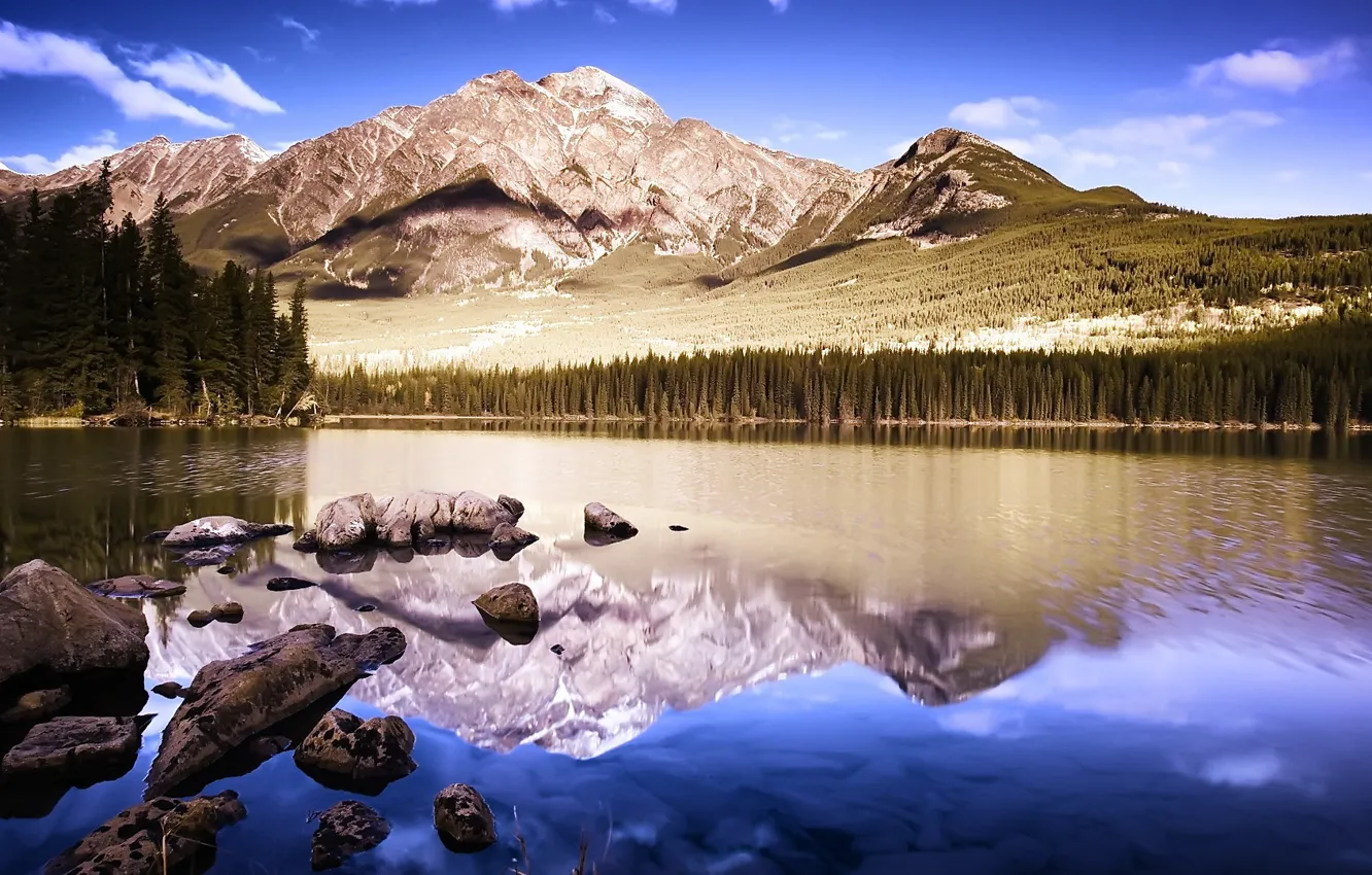 Photo wallpaper forest, mountains, nature, lake