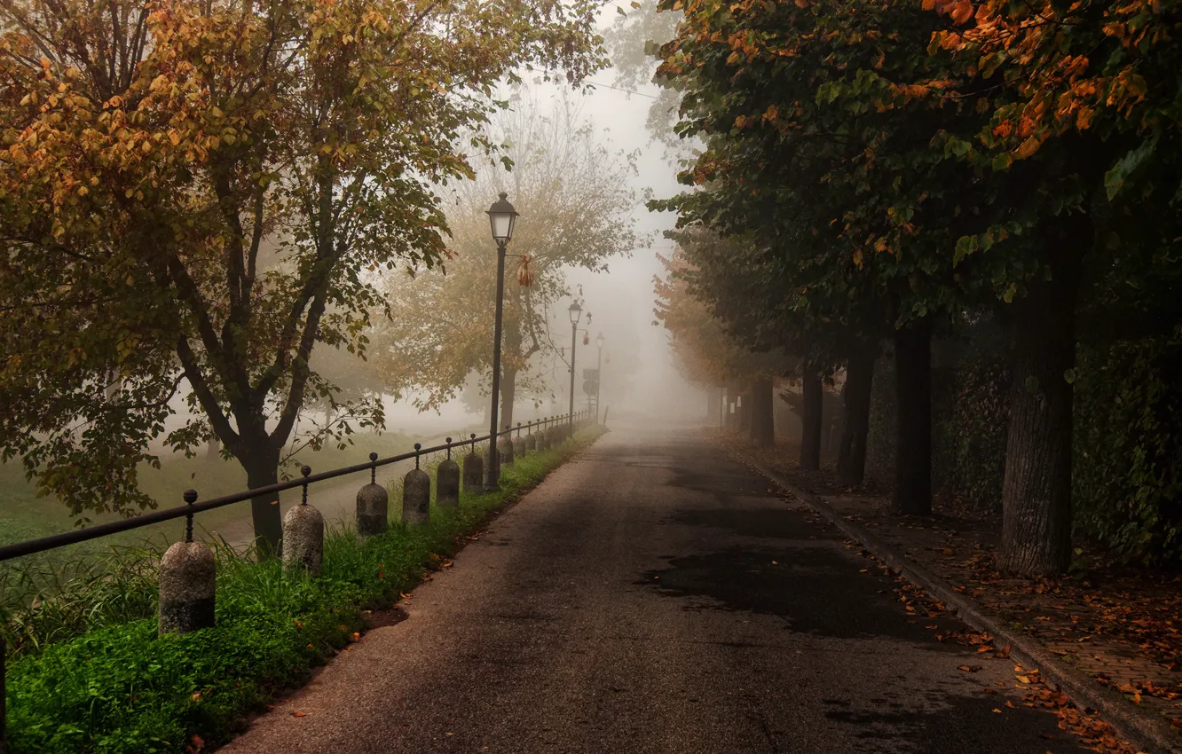 Photo wallpaper road, autumn, trees, nature, Park, foliage, fence, Sergio Locatelli рhotography
