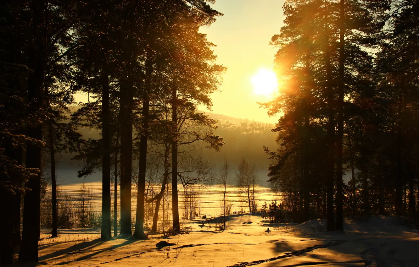 Photo wallpaper the sun, sunset, nature