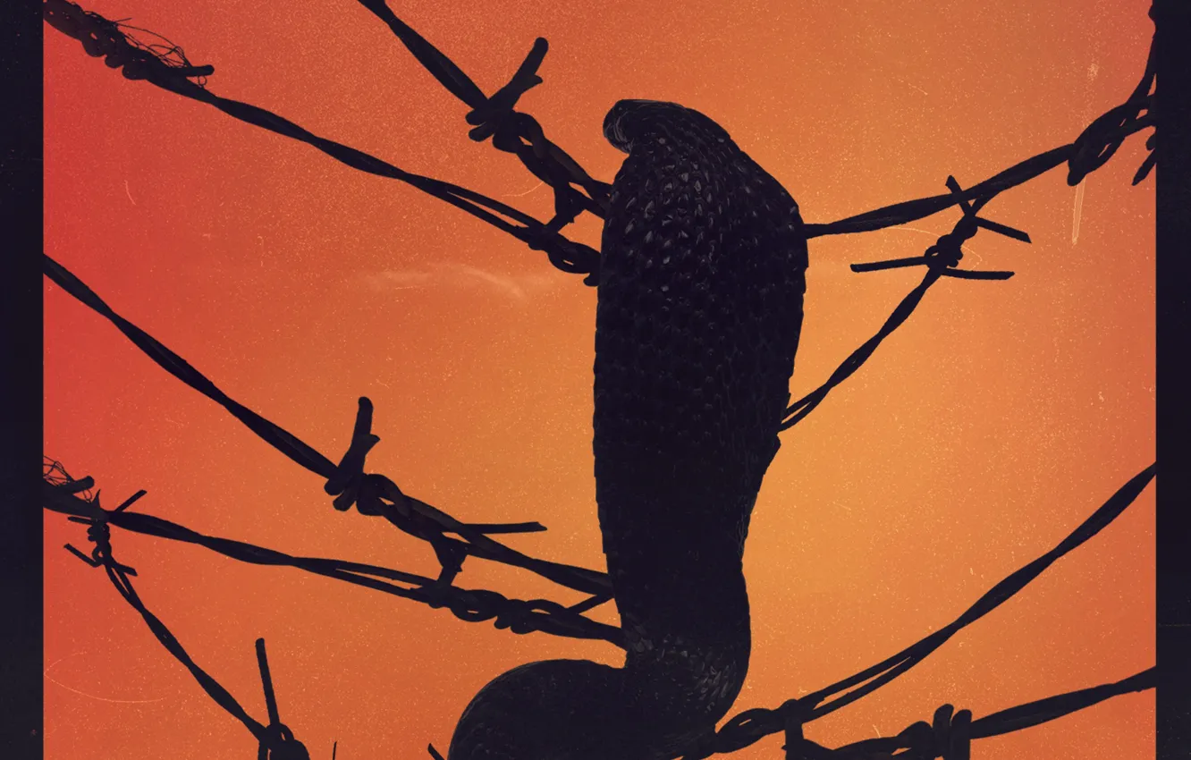 Photo wallpaper Music, Cobra, Cover, Monstercat, Tails & Juelz