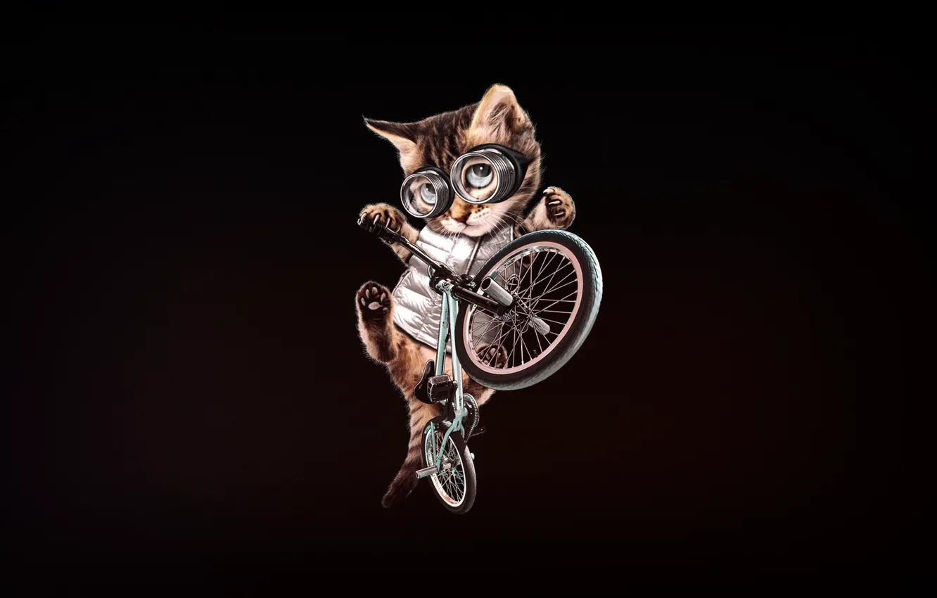 Photo wallpaper Minimalism, Kitty, Glasses, Cat, Style, Bike, Art, Art