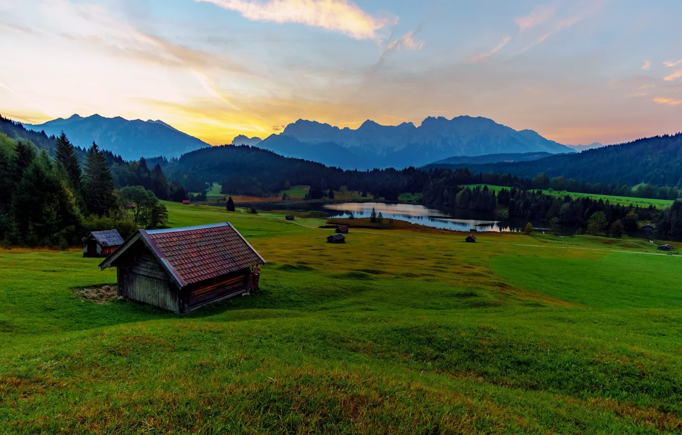 Photo wallpaper greens, field, autumn, forest, summer, grass, clouds, flowers