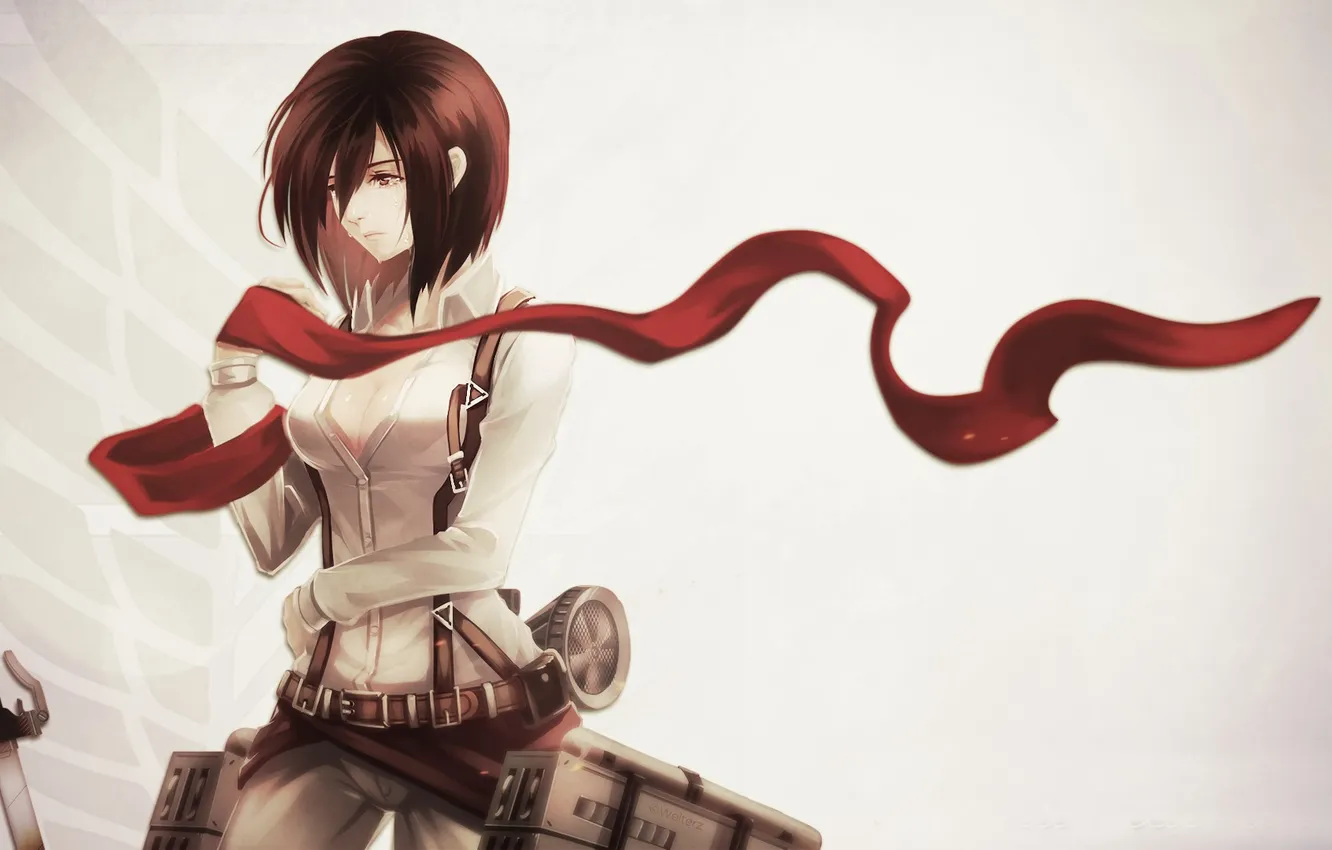 Photo wallpaper girl, scarf, Attack on Titan, Mikasa