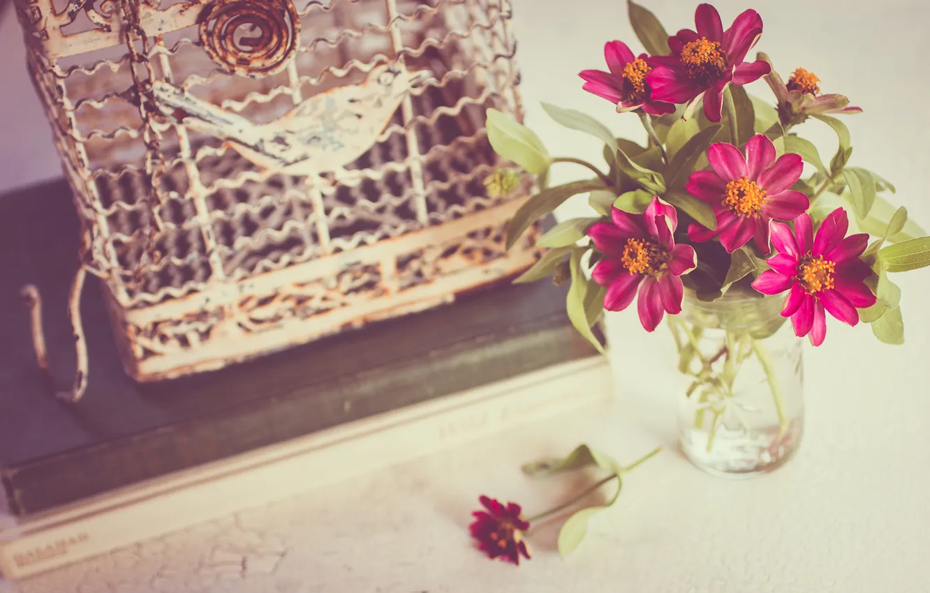 Photo wallpaper flowers, cell, petals