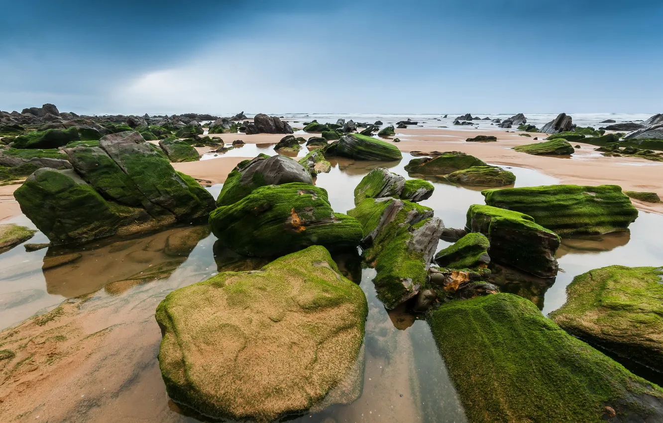 Photo wallpaper sea, landscape, stones