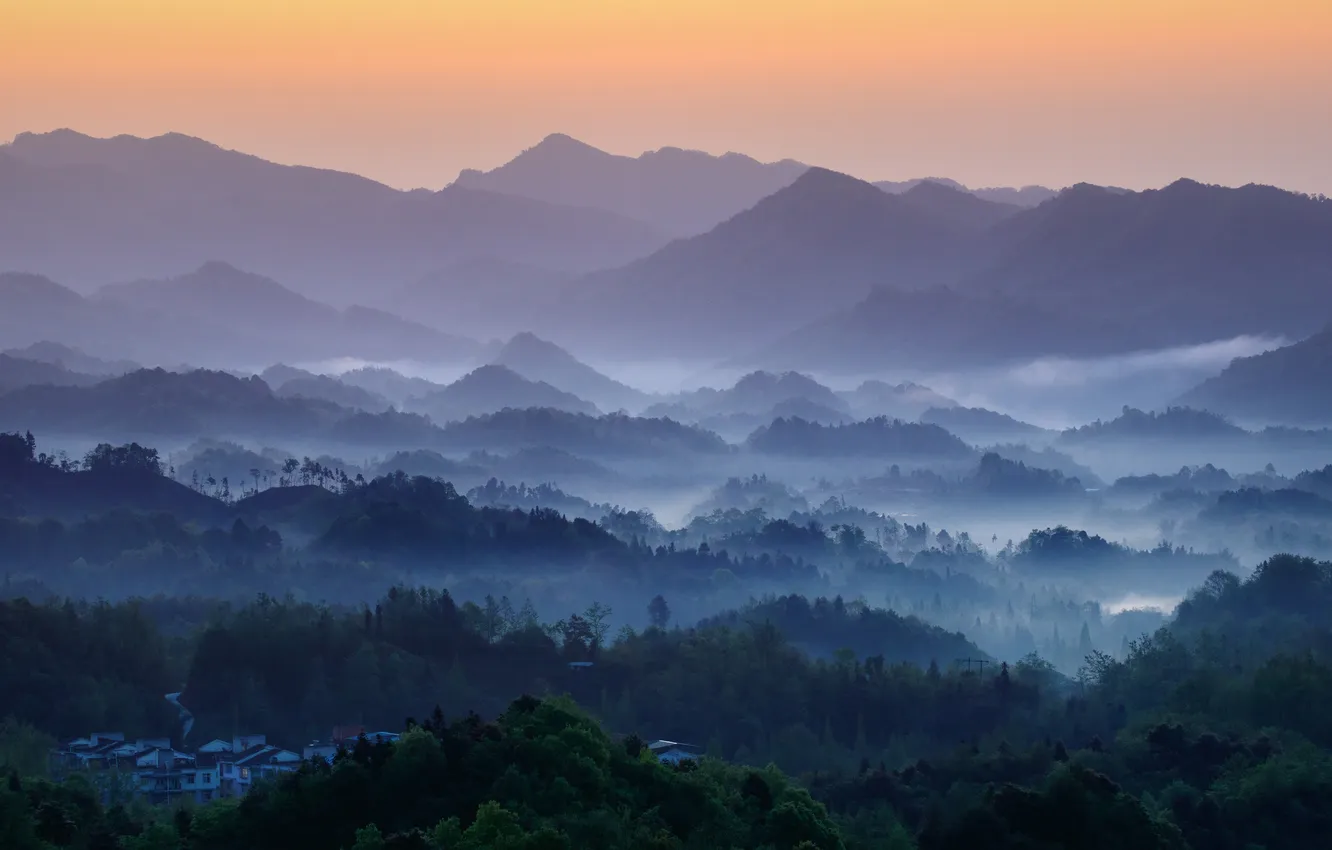 Photo wallpaper forest, mountains, fog, tops, dal, morning, slope, haze