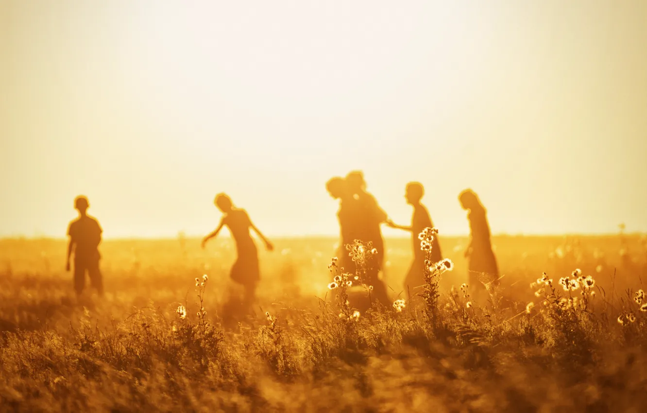 Photo wallpaper field, summer, light, people