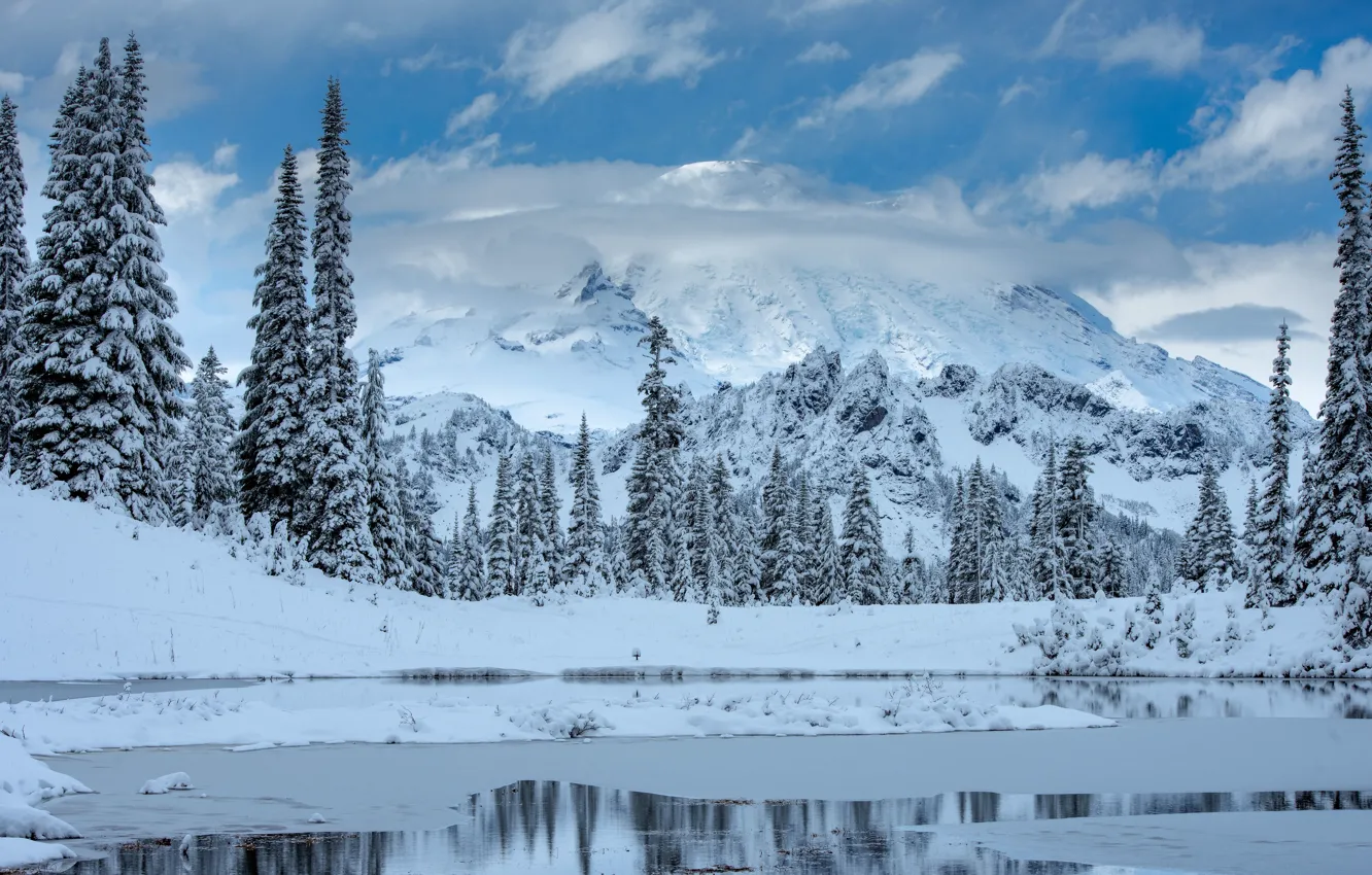 Photo wallpaper winter, snow, trees, mountains, lake, ate, Mount Rainier National Park, National Park mount Rainier