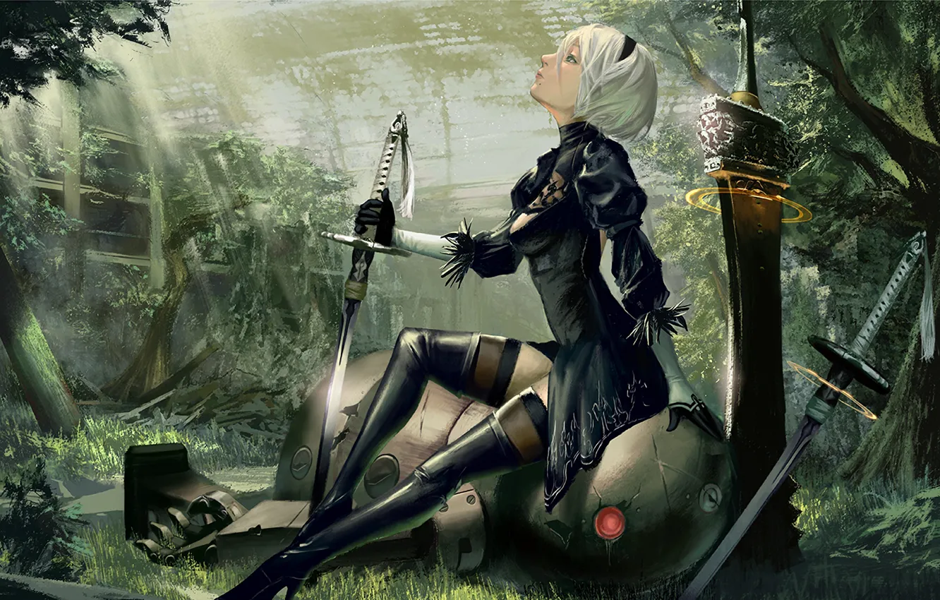 Photo wallpaper girl, robot, sword, cyborg, Nier Automata, YoRHa No.2 Type B
