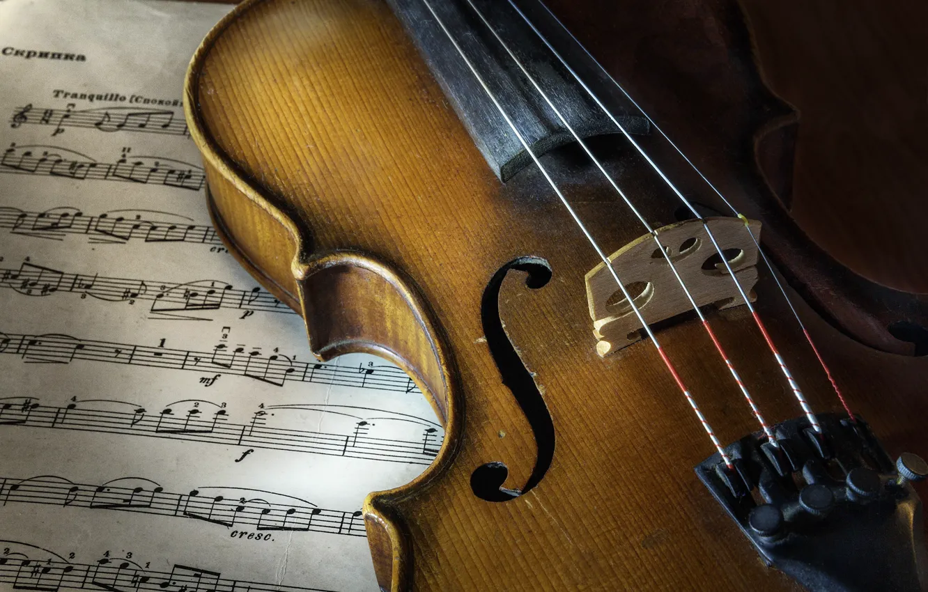 Photo wallpaper Violin, Notes, Strings, Sonatas