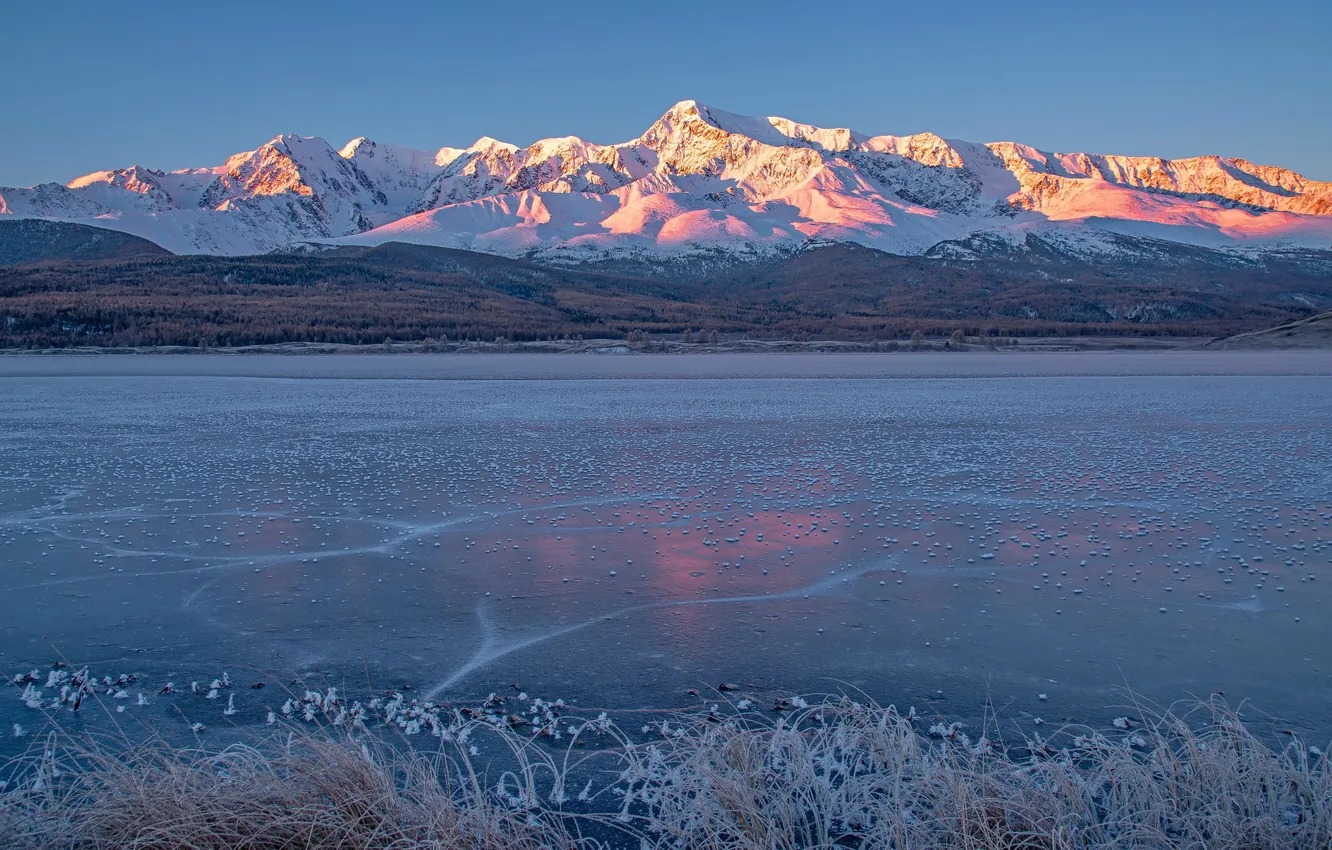 Photo wallpaper autumn, mountains, Altay, Evgeny Drobotenko, Dzhangyskol