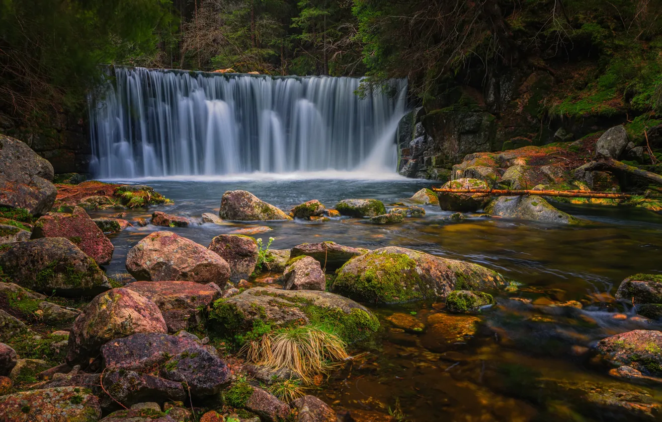 Photo wallpaper forest, river, stones, waterfall, cascade, Andrey Kolerev