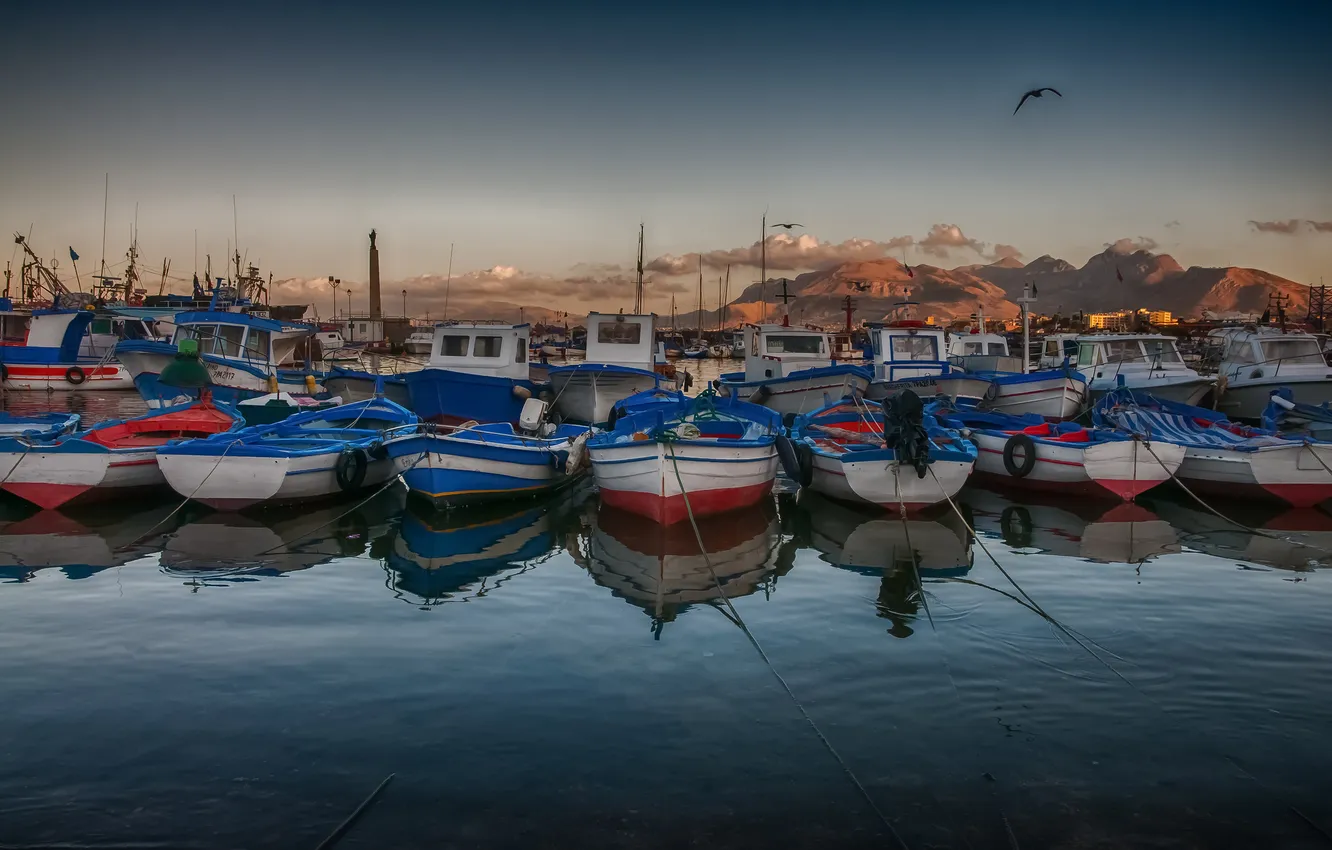 Photo wallpaper mountains, boat, Marina, seagulls, Bay, morning, boat