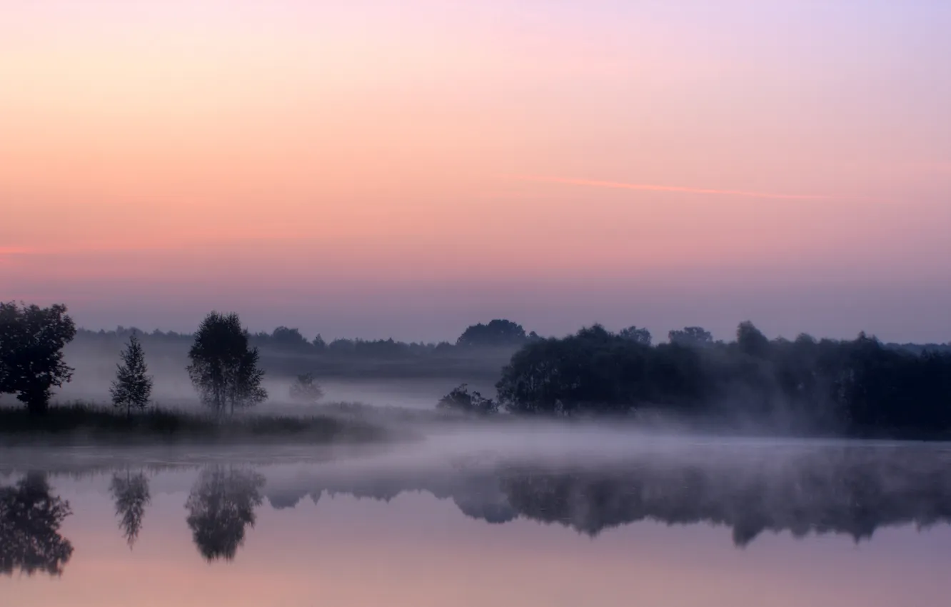 Photo wallpaper forest, fog, pond, dawn, Aleksin