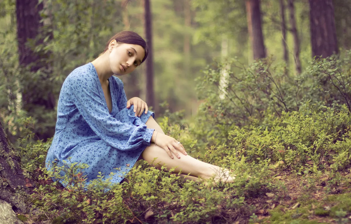 Photo wallpaper forest, nature, Diana, Alexander Zamyatin