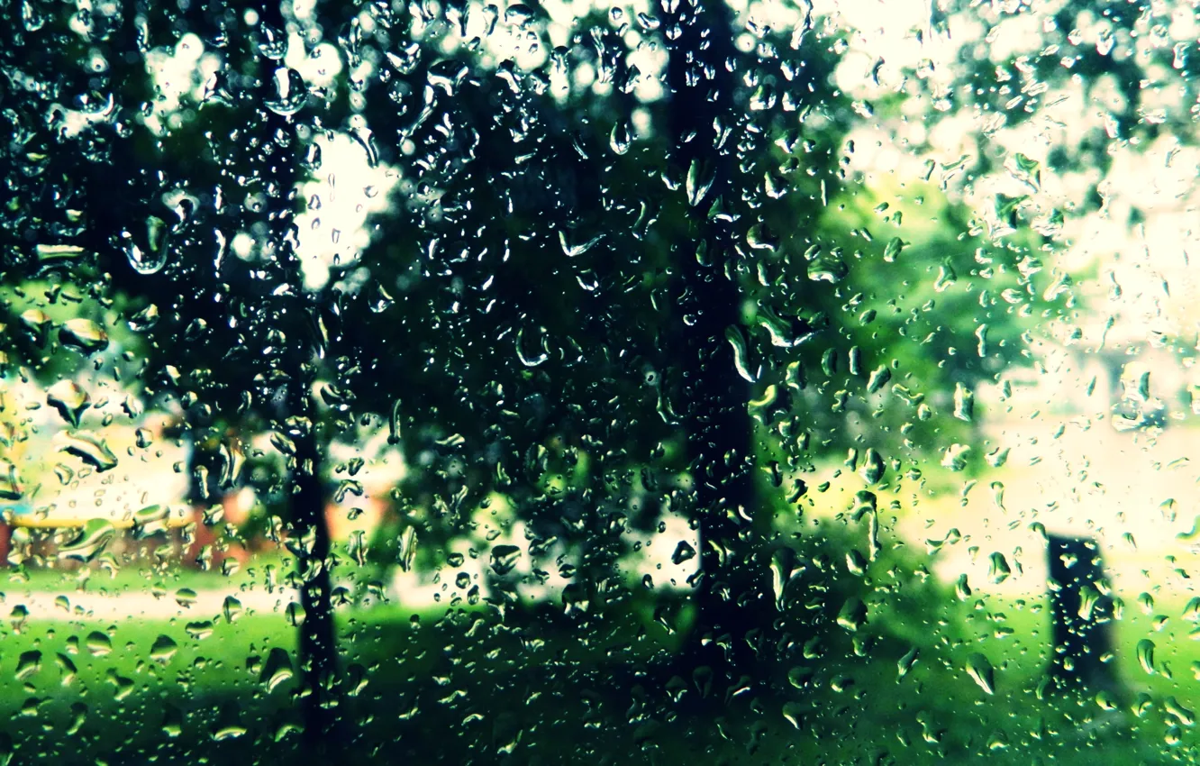 Photo wallpaper summer, rain, Drops, glass.mood