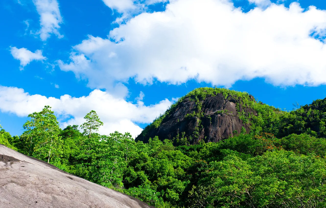 Photo wallpaper the sun, mountains, trees, greens, clouds, the sky, rocks, forest