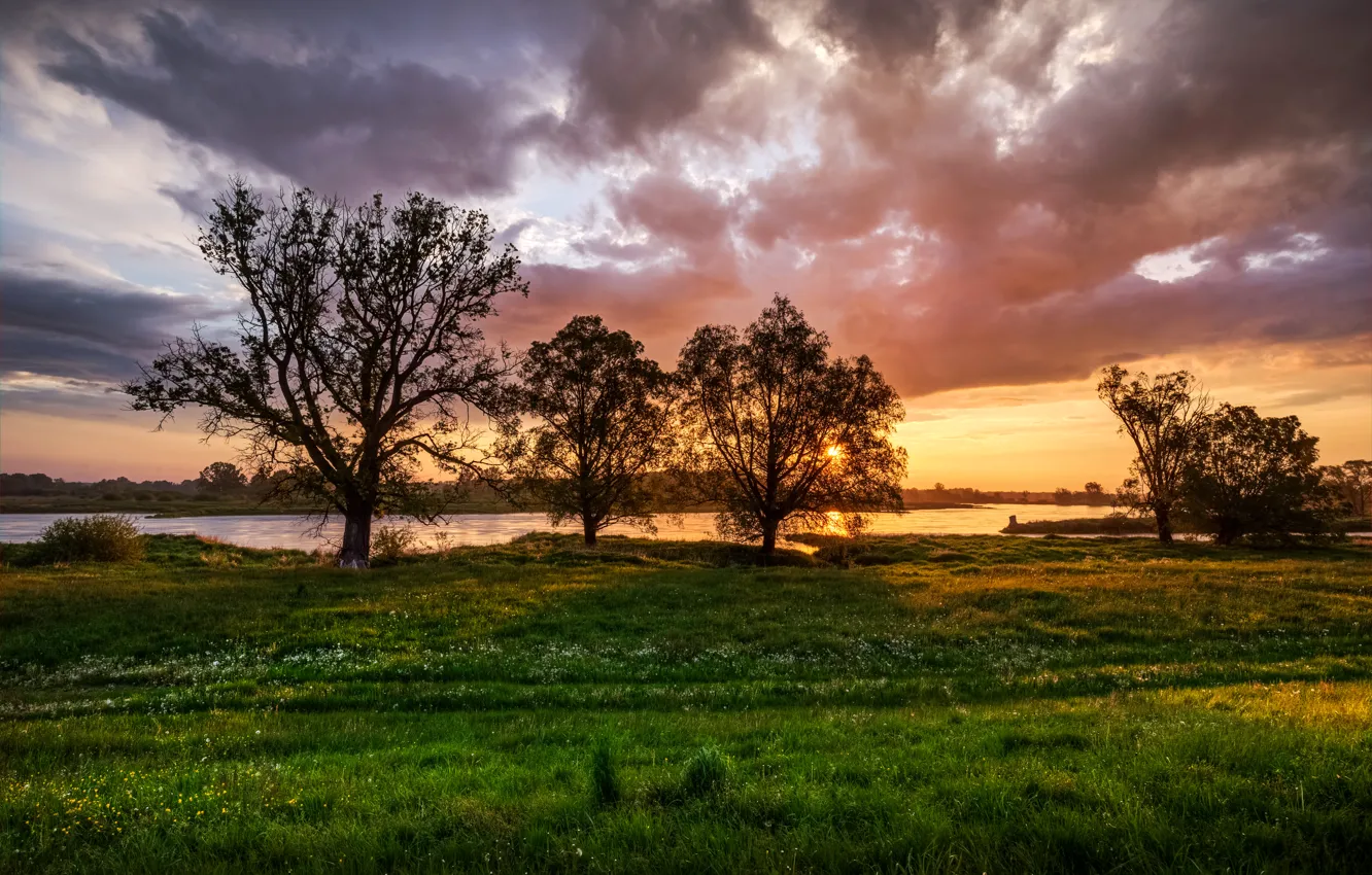 Photo wallpaper summer, the sky, grass, clouds, trees, river, dawn, shore