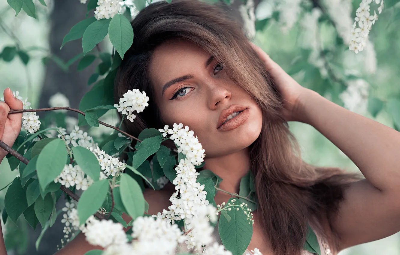 Photo wallpaper look, girl, branches, face, hair, portrait, spring, hands