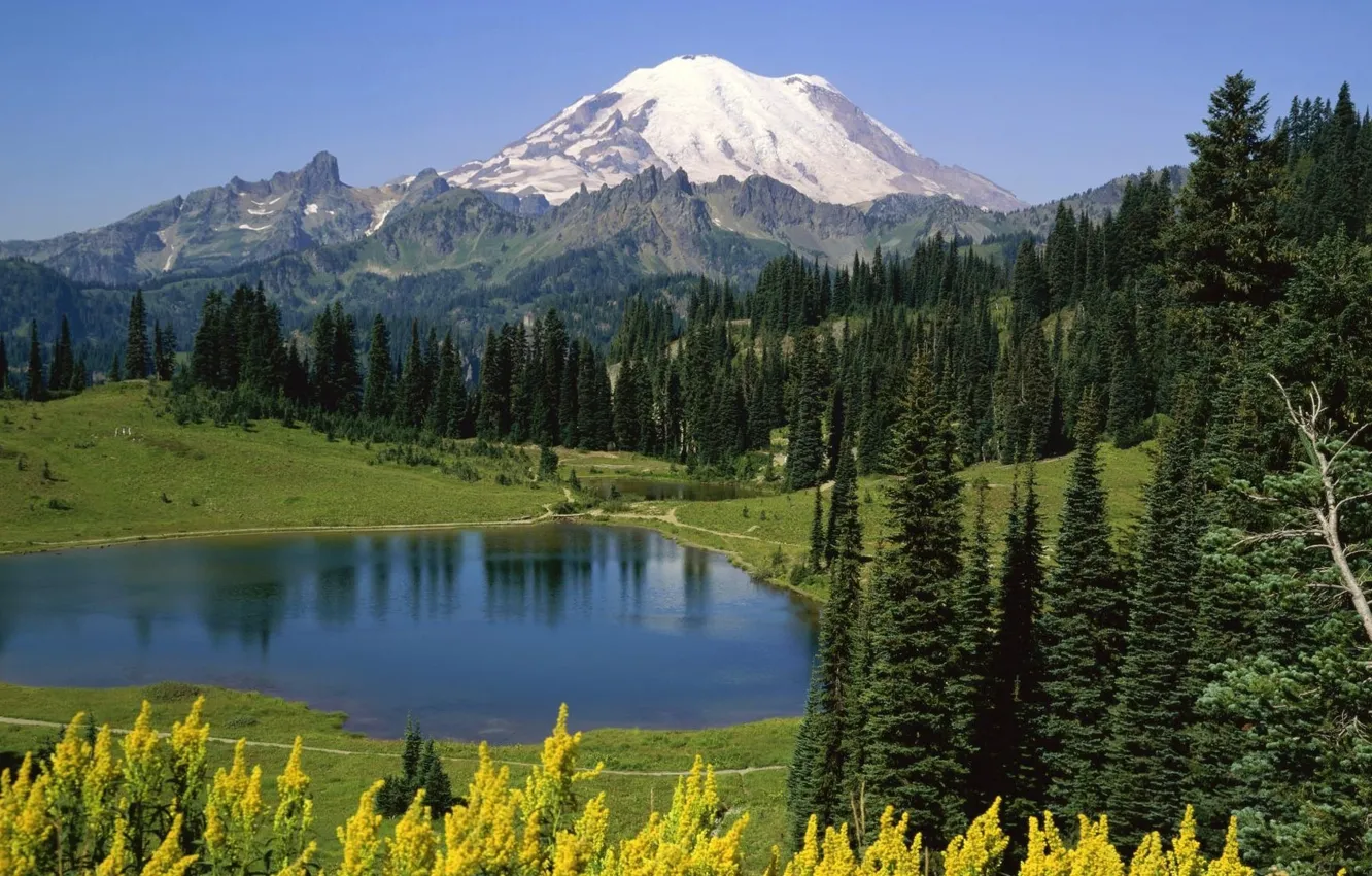 Photo wallpaper trees, mountains, nature