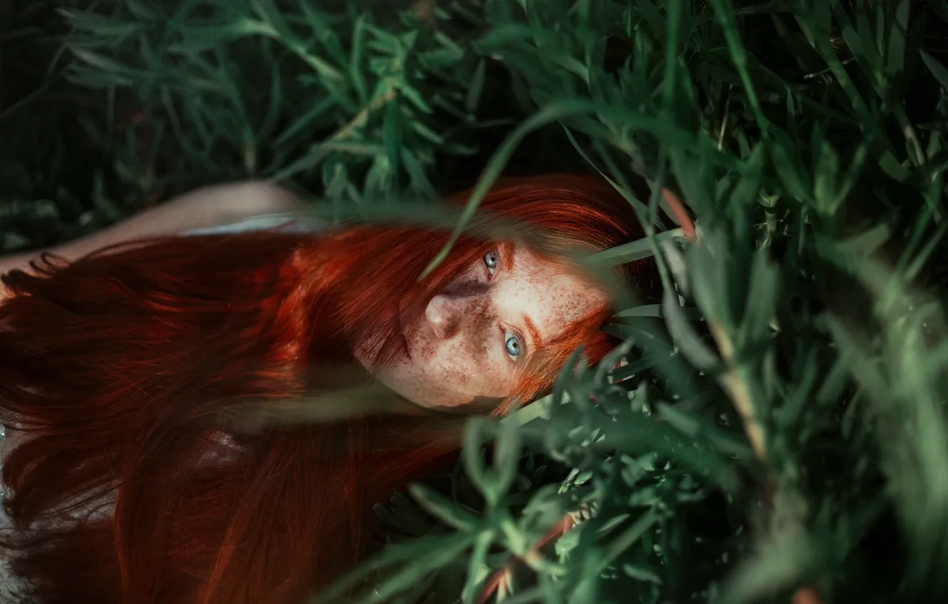 Photo wallpaper grass, girl, face, mood, freckles, red, redhead, long hair