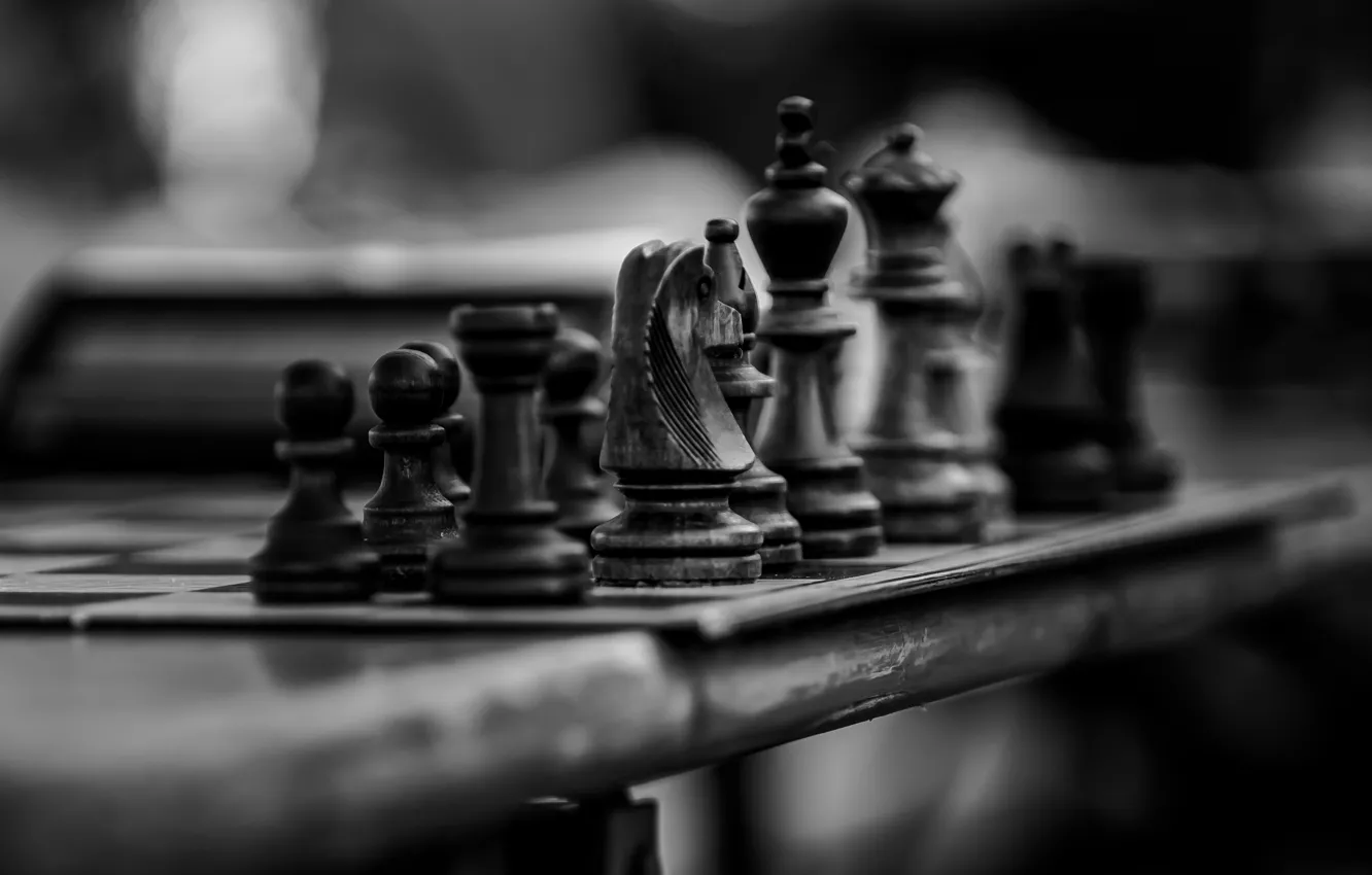 Photo wallpaper table, horse, blur, chess, black and white photo, Queen, chess Board, bokeh