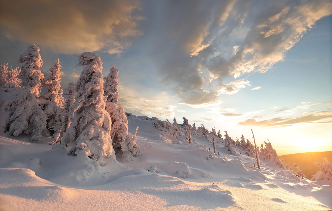 Photo wallpaper winter, forest, the sky, the sun, clouds, light, snow, hills