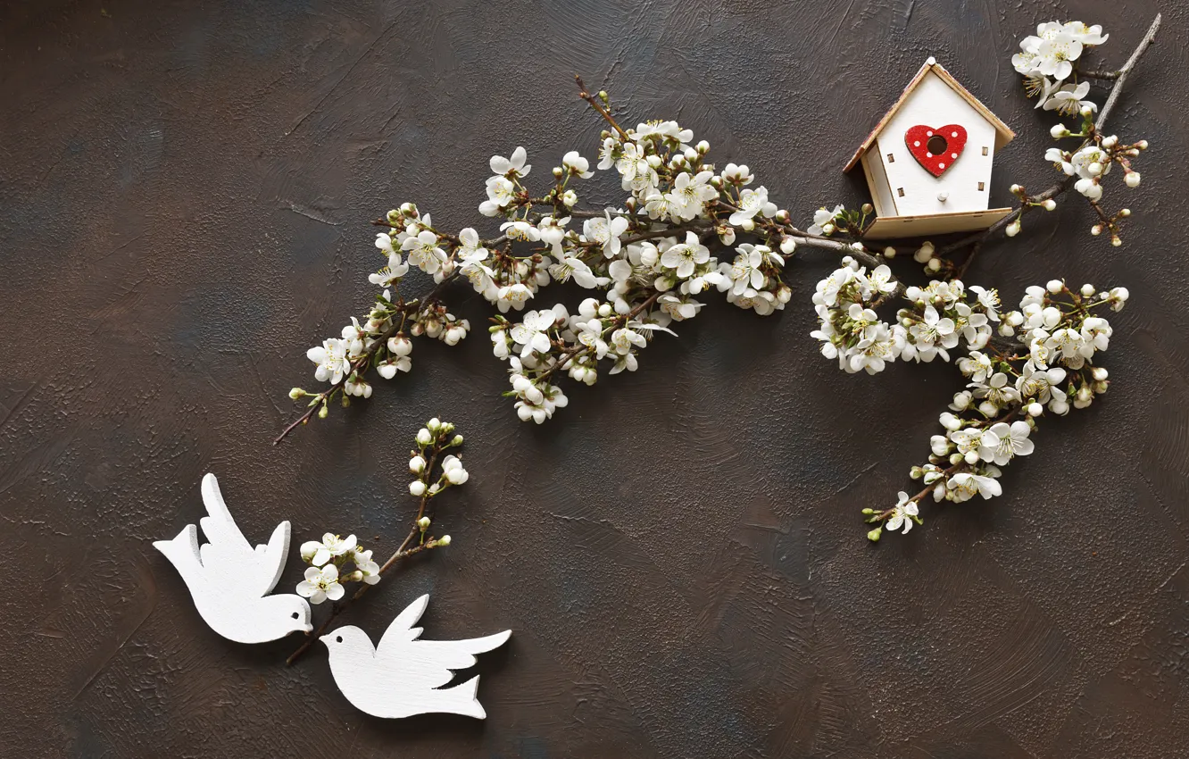 Photo wallpaper flowers, spring, love, white, white, wood, blossom, flowers