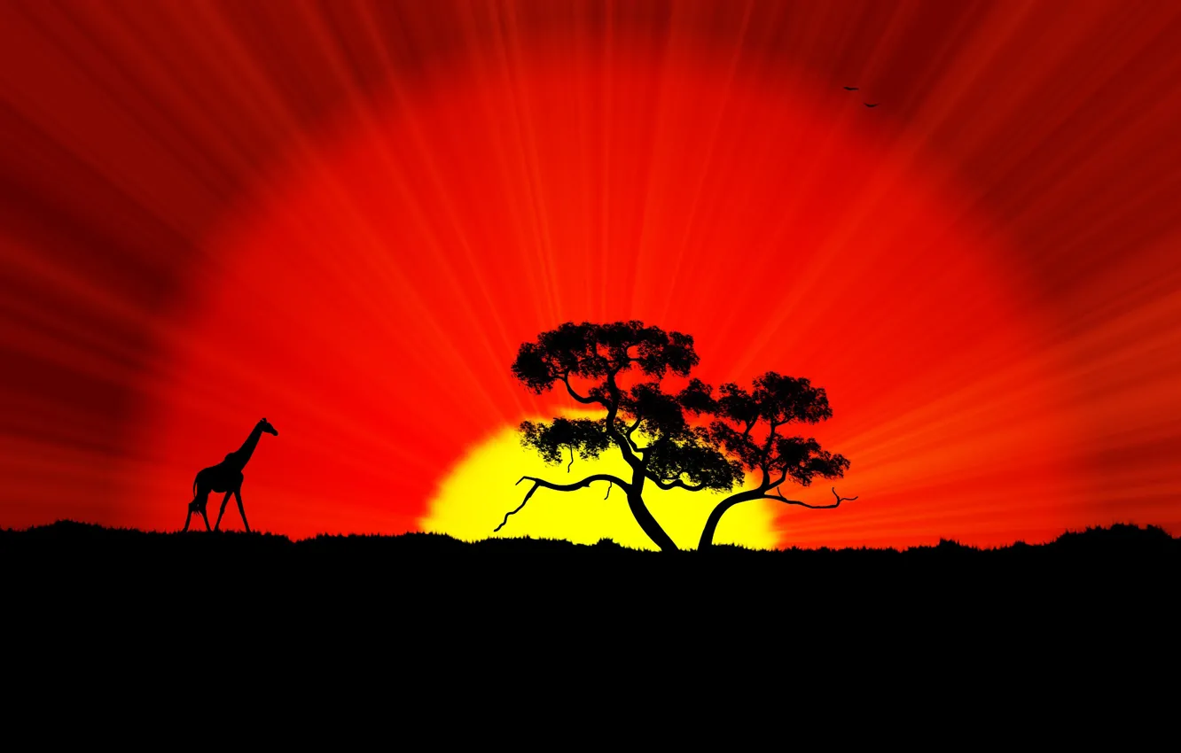 Photo wallpaper the sun, sunset, tree, giraffe, Africa