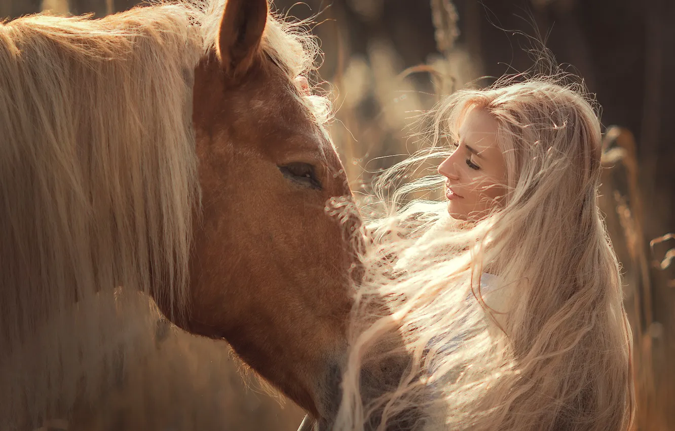Photo wallpaper face, girl, face, mood, horse, horse, mane, long hair