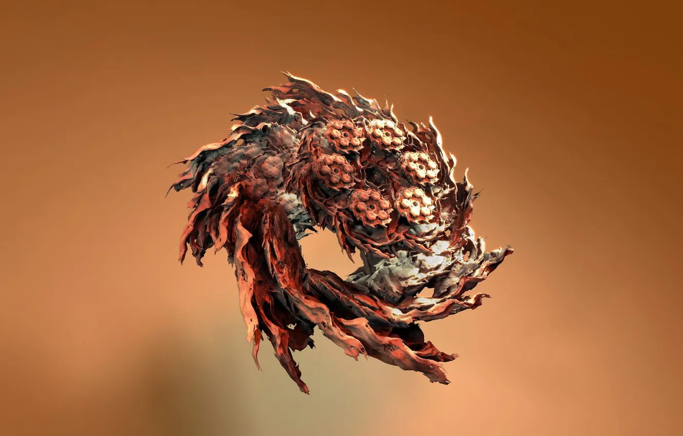 Photo wallpaper flowers, orange background, wreath