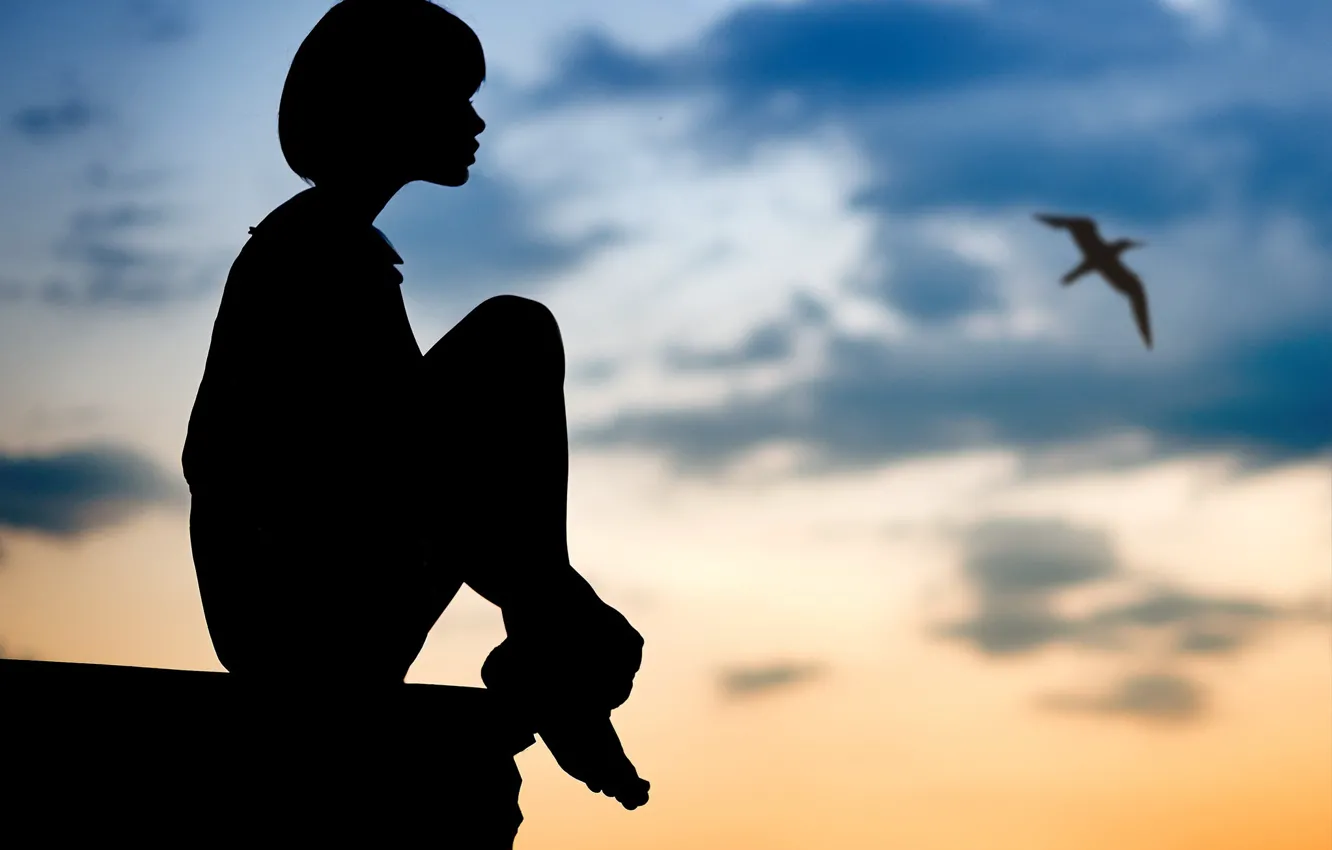 Photo wallpaper girl, bird, silhouette
