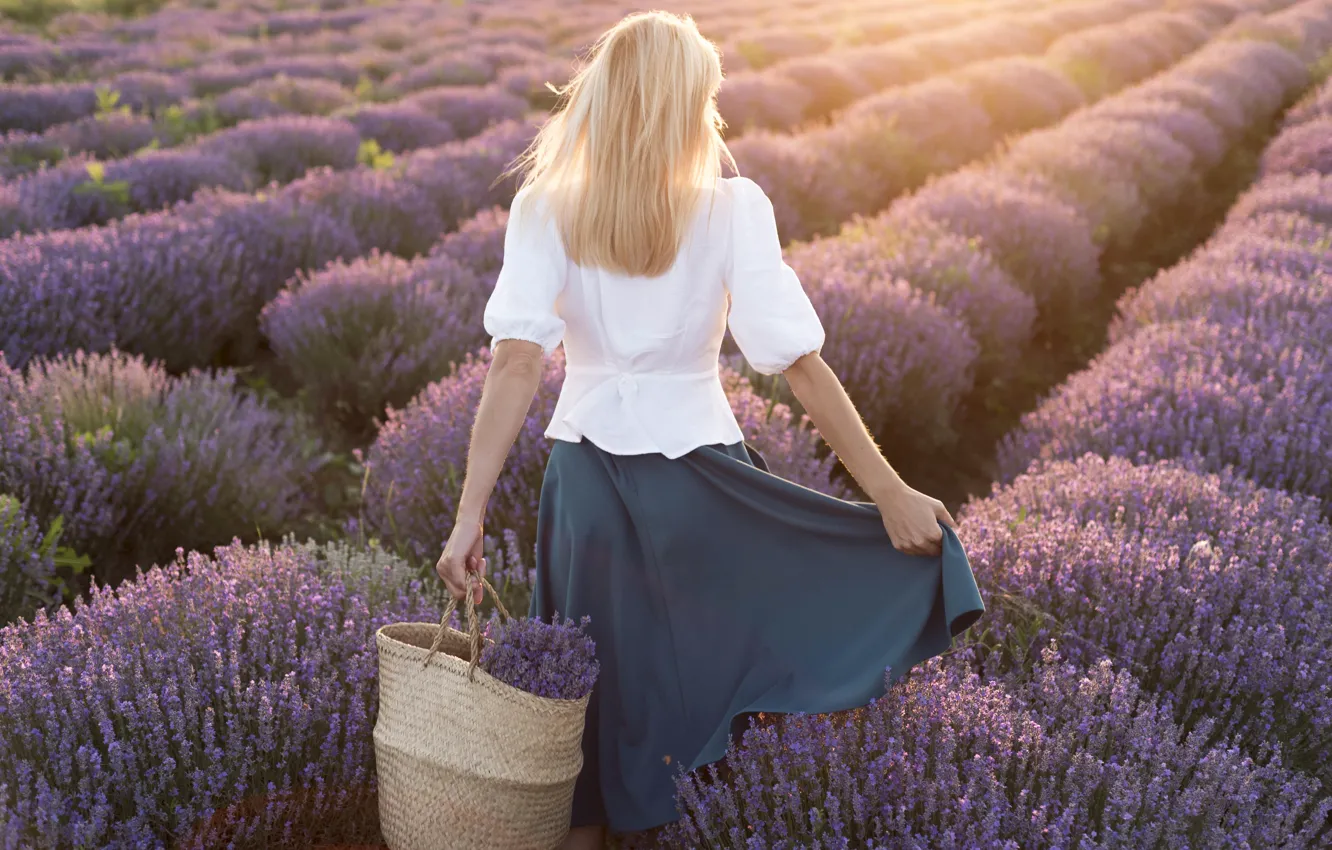Photo wallpaper girl, flowers, bouquet, lavender, lavender field