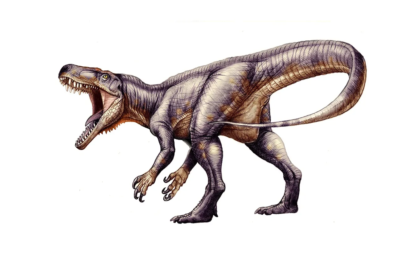 Photo wallpaper dinosaur, predator, tail