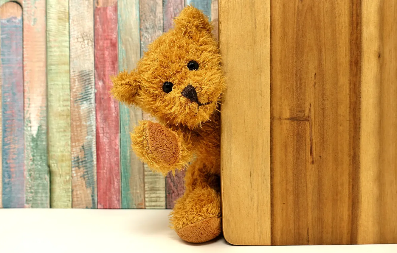 Photo wallpaper toy, bear, The door