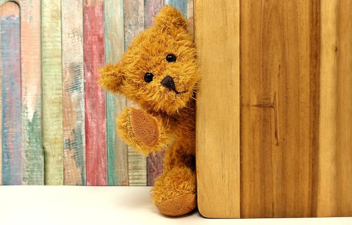 Photo wallpaper toy, the door, bear