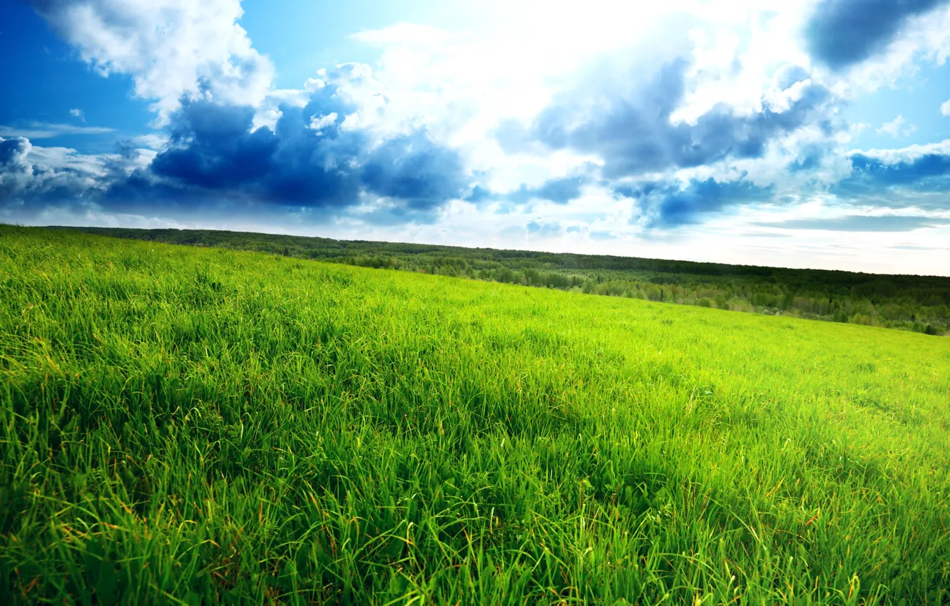 Photo wallpaper field, grass, clouds, landscape, horizon, green, green field, dense