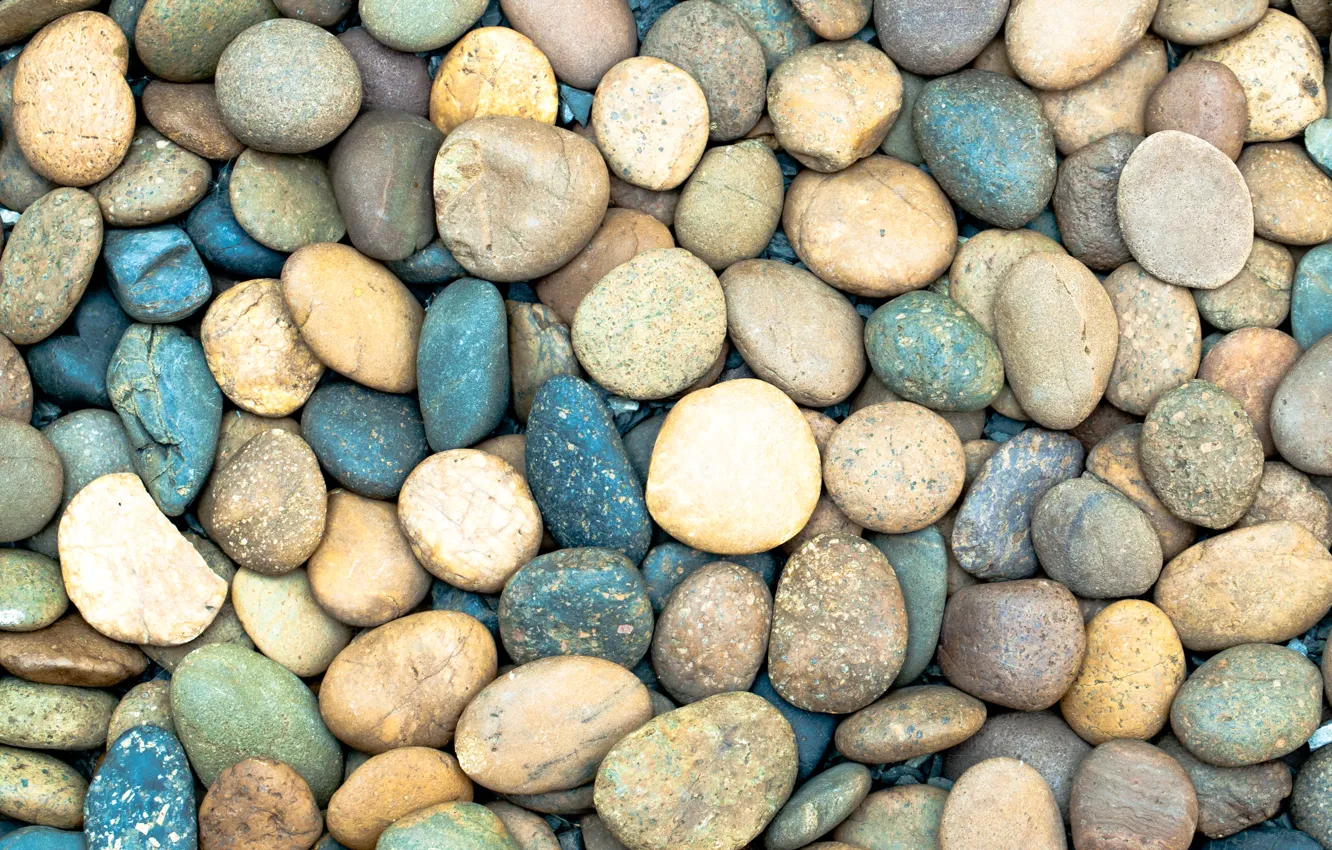 Photo wallpaper beach, pebbles, stones, background, white, white, beach, texture