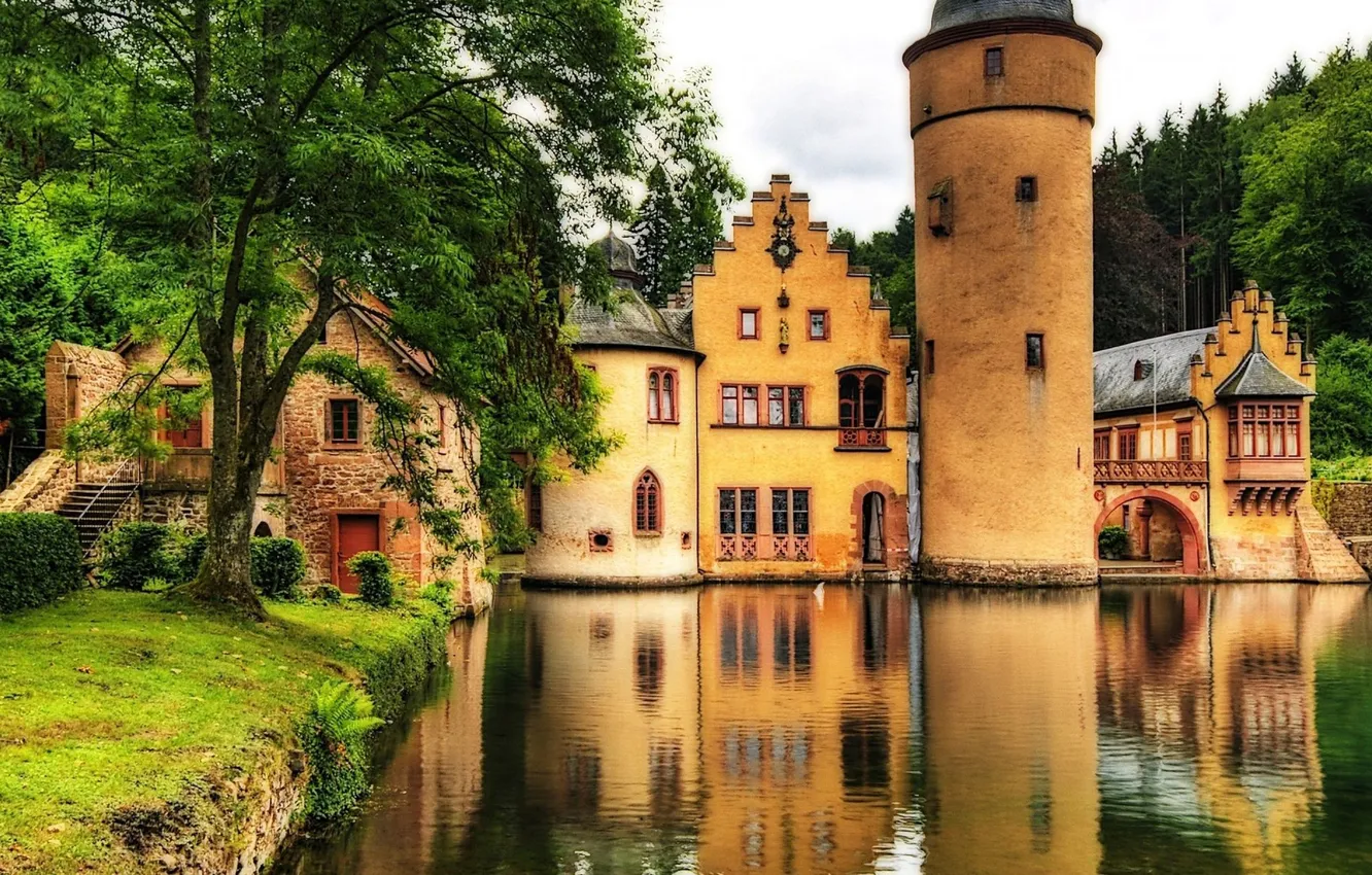 Photo wallpaper forest, grass, trees, landscape, nature, river, plant, Germany