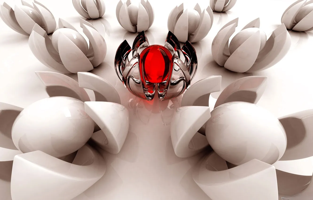 Photo wallpaper flowers, stones, balls, petals, -