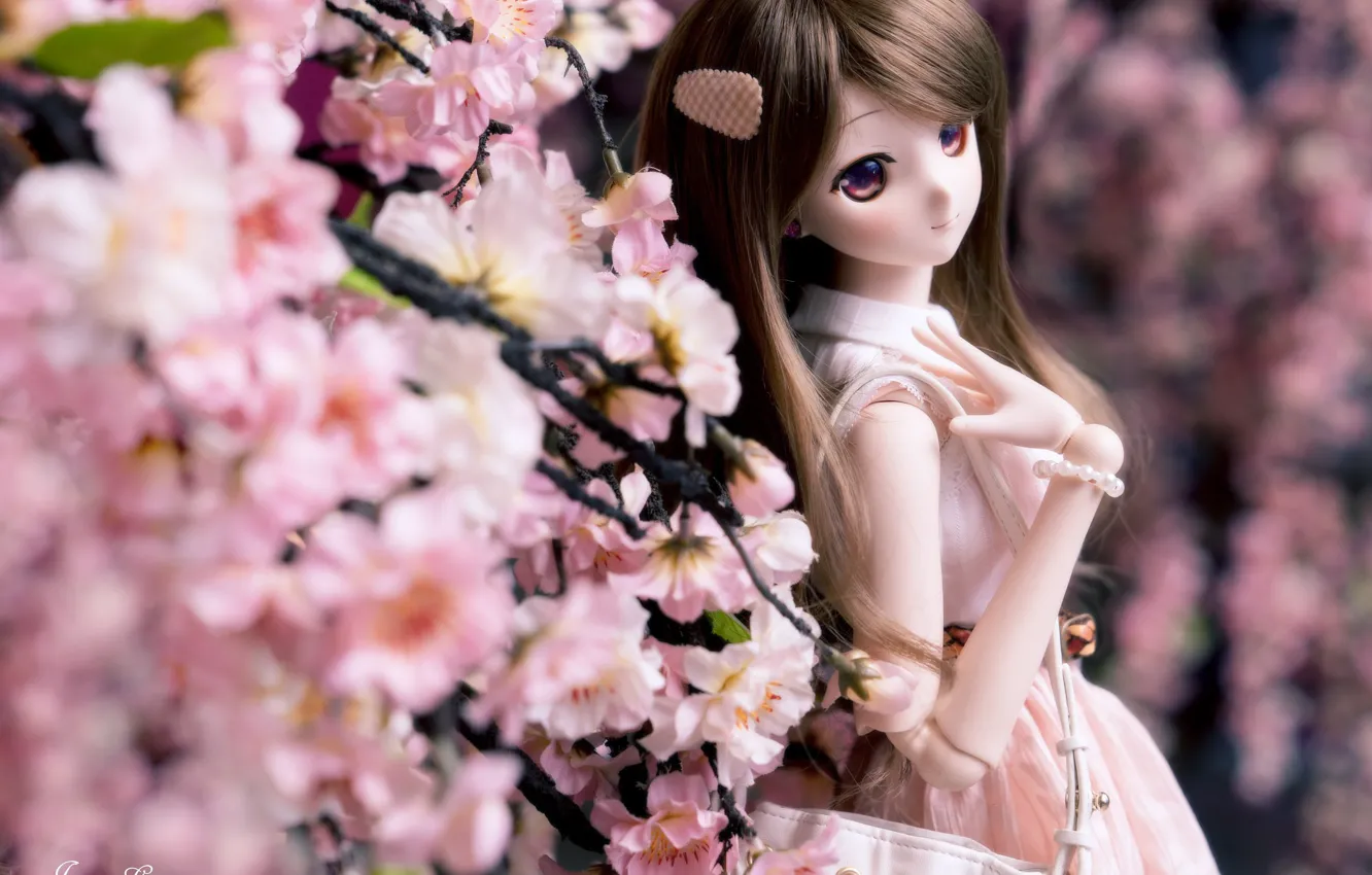 Photo wallpaper girl, flowers, hair, spring, doll
