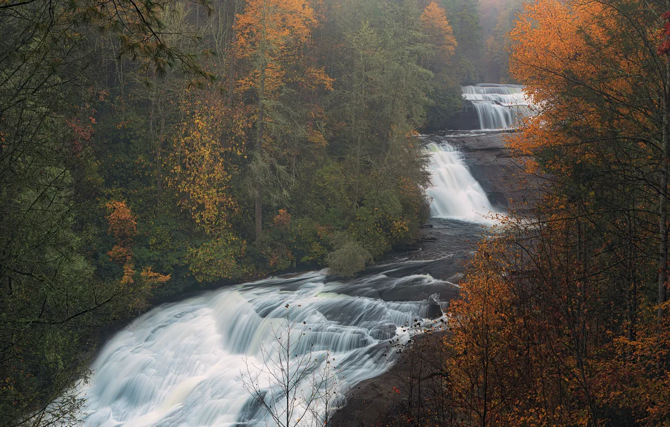 Photo wallpaper forest, rocks, shore, waterfall, stream