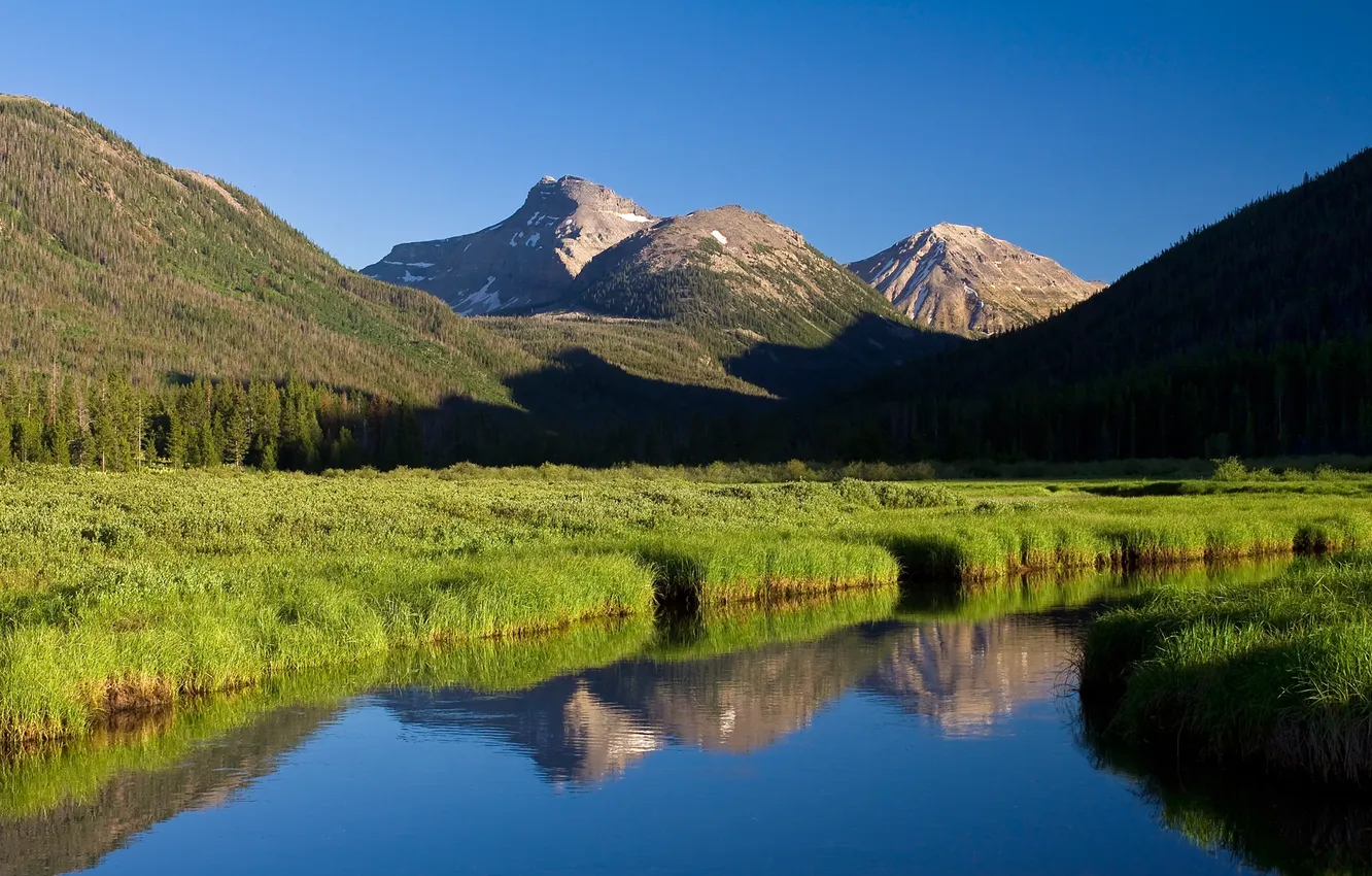 Photo wallpaper forest, the sky, grass, mountains, river
