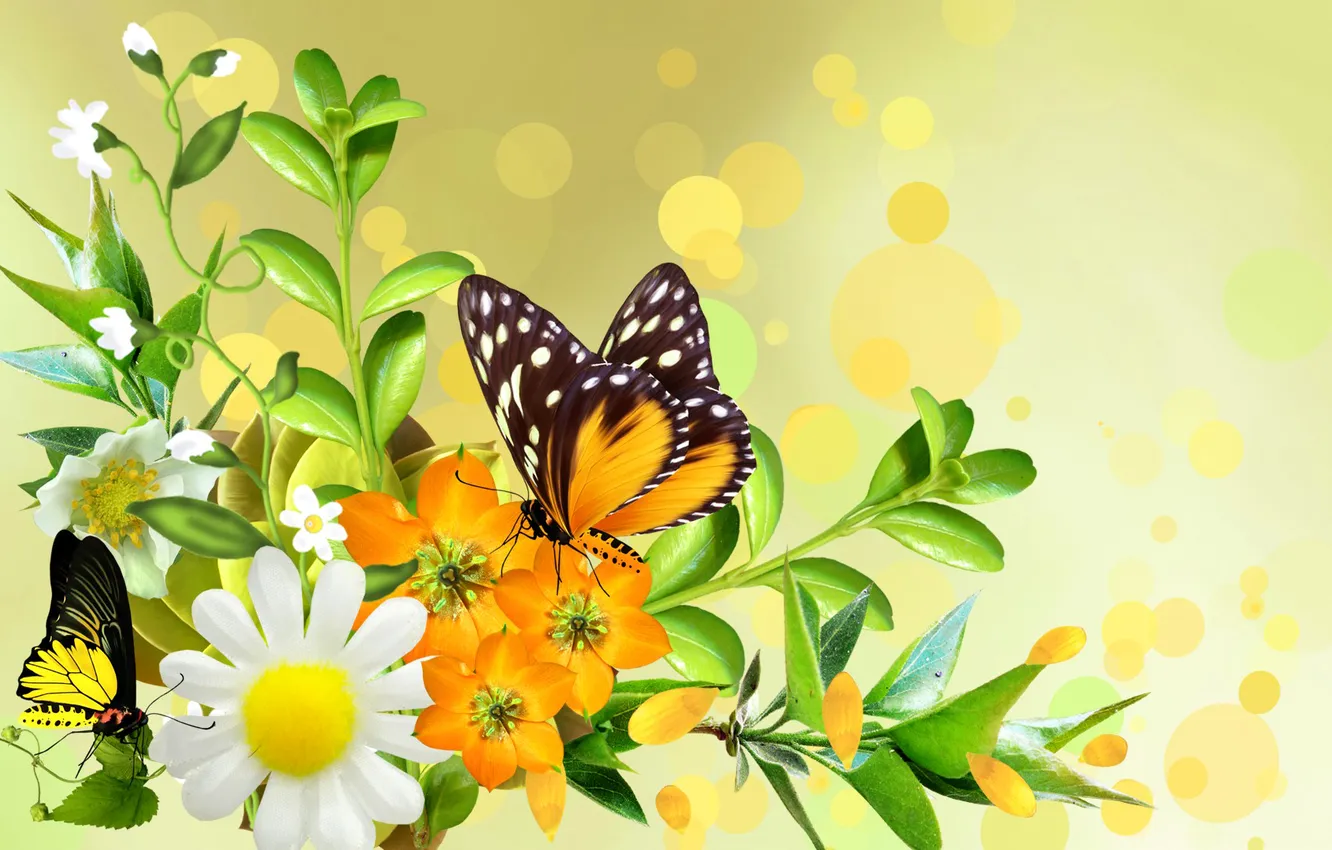 Photo wallpaper leaves, flowers, collage, butterfly, chamomile, bouquet, petals, moth