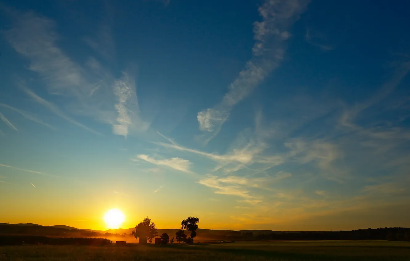 Photo wallpaper field, the sky, the sun, trees, sunset, sunrise