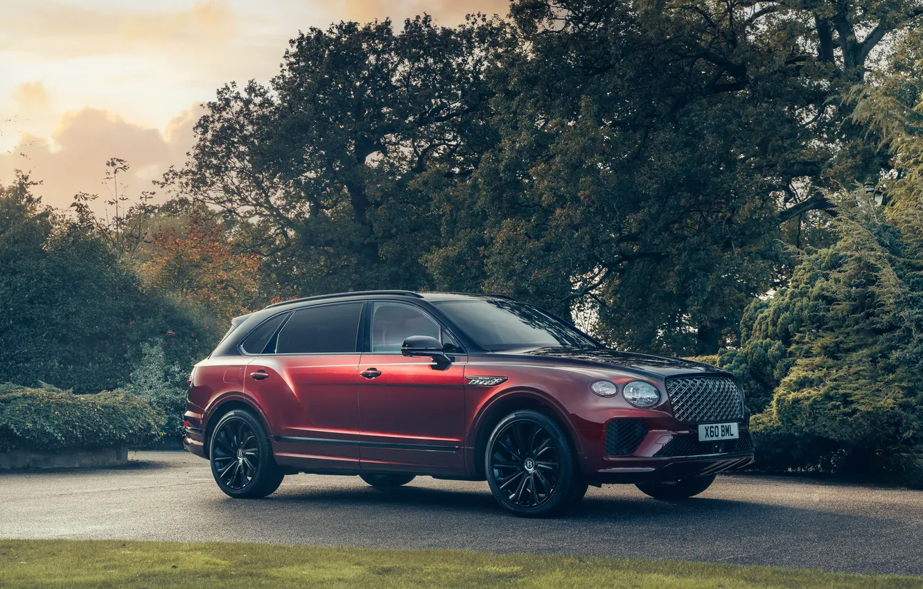 Photo wallpaper road, machine, nature, Bentley, red, Bentley Bentayga