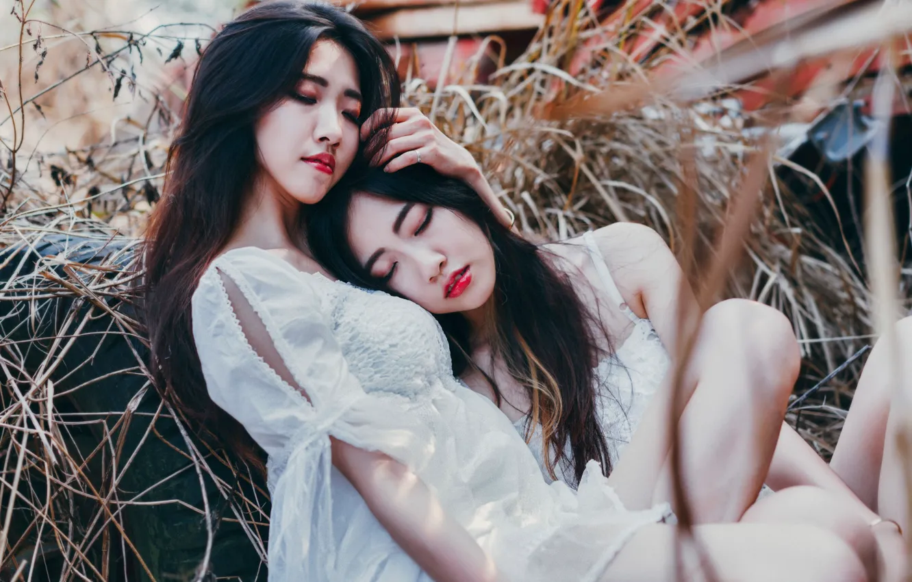 Photo wallpaper girl, pair, Asian