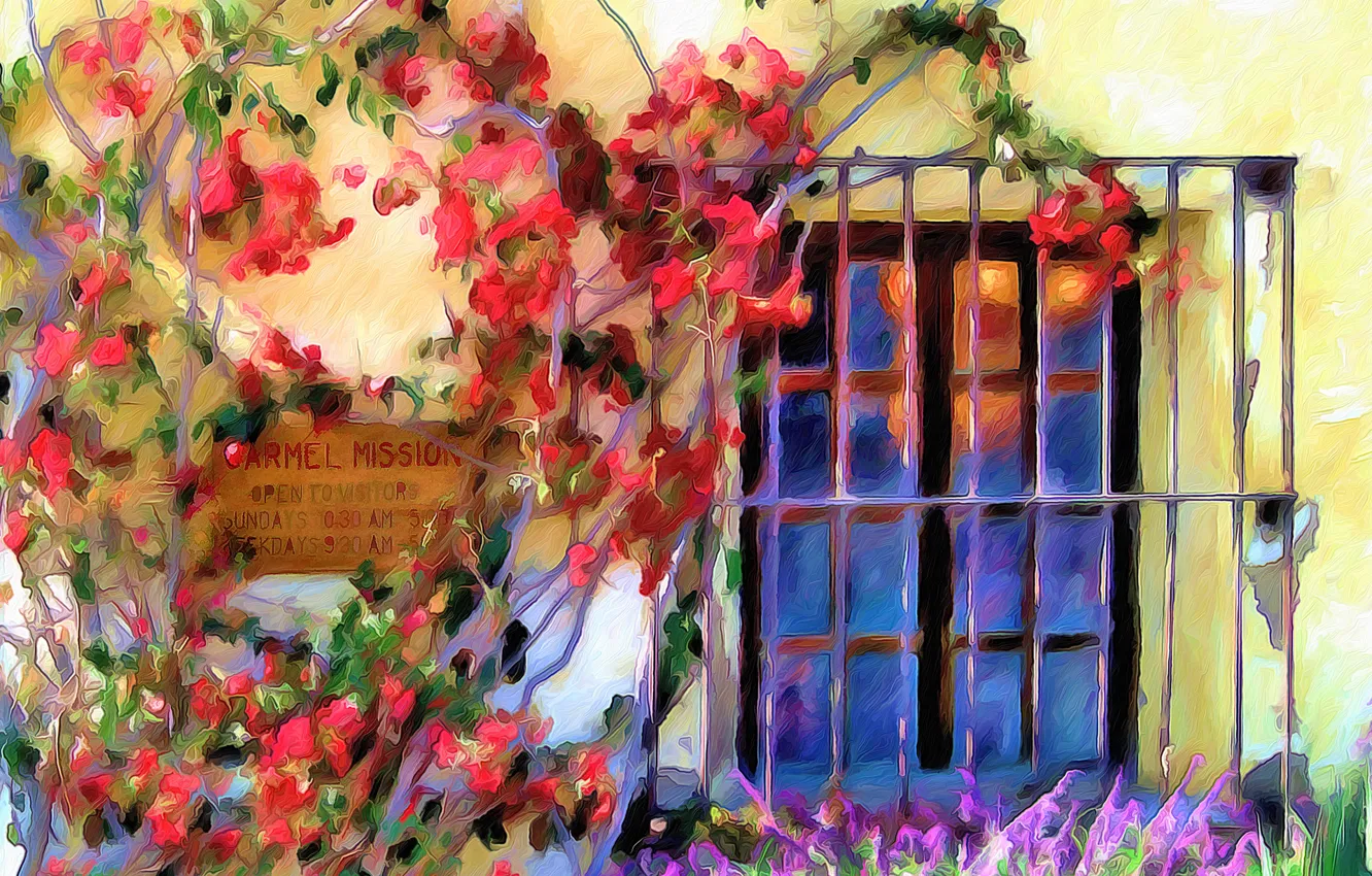 Photo wallpaper line, flowers, paint, home, grille, window, yard