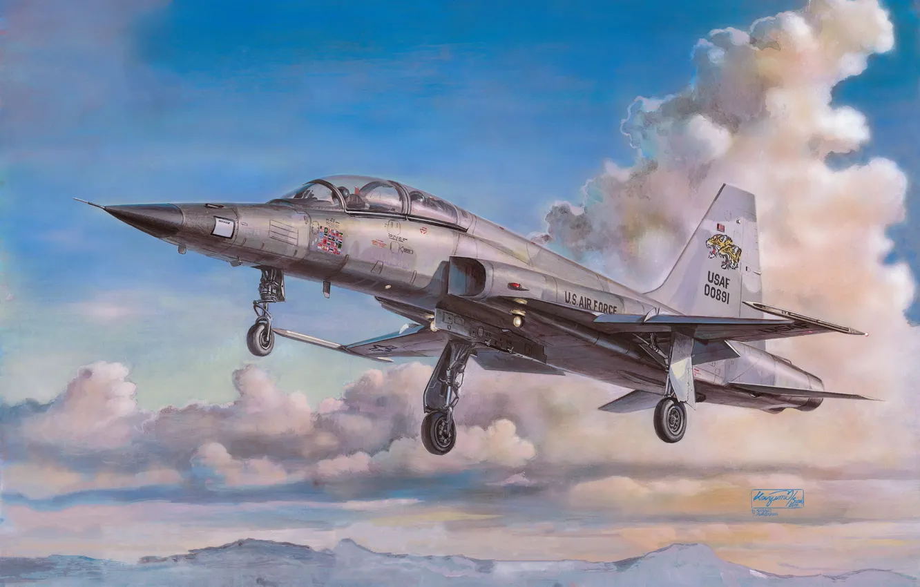 Photo wallpaper easy, USA, multi-role fighter, H.Sasaki & T.Kurokawa, F-5F Tiger II US Air Force, Northrop F-5 …